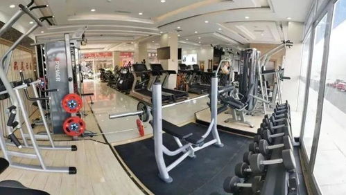 跟着赛事游临沂 活力省运乐购商城，霹雳舞燃动全城，体育防护用品满载而归